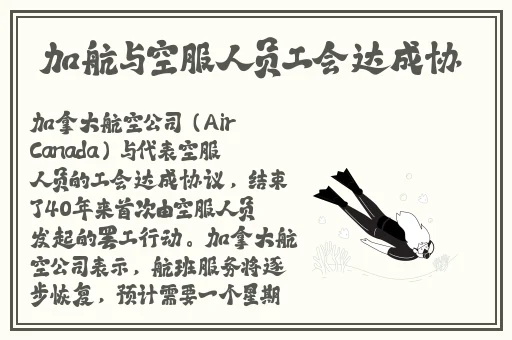 年轻护士2高清中文字幕